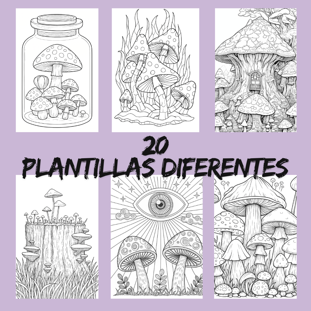 2x1 Libro Coloreame ¡CON FIBRAS DE REGALO!